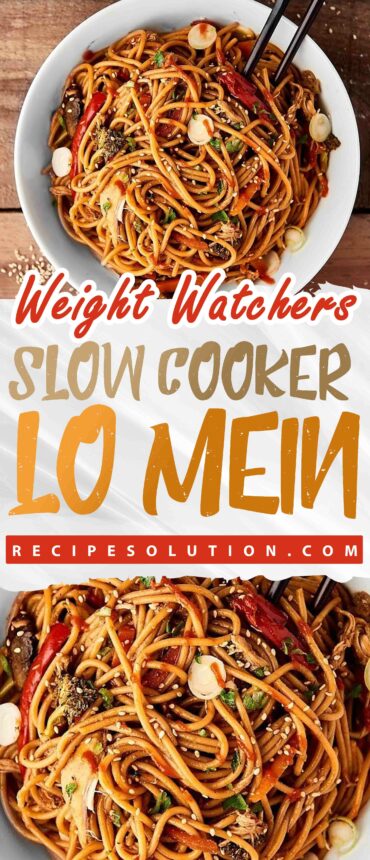 SLOW COOKER LO MEIN