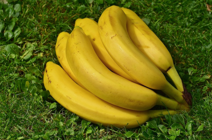 Use a banana peel against aphids