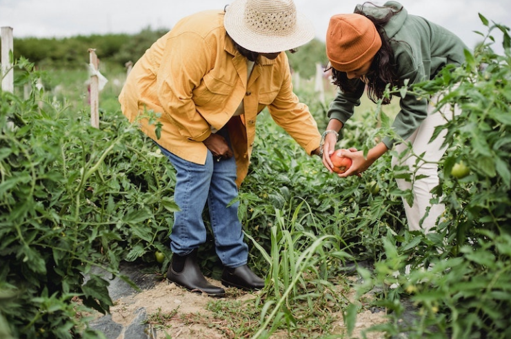 Gardening is good for your mental and spiritual health