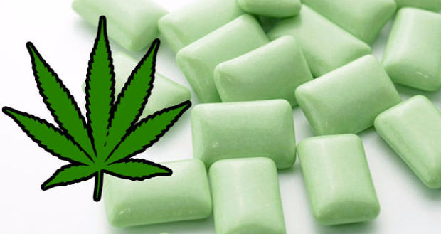 CHEW YOUR WAY TO PAIN RELIEF WITH CANNABIS GUM !!